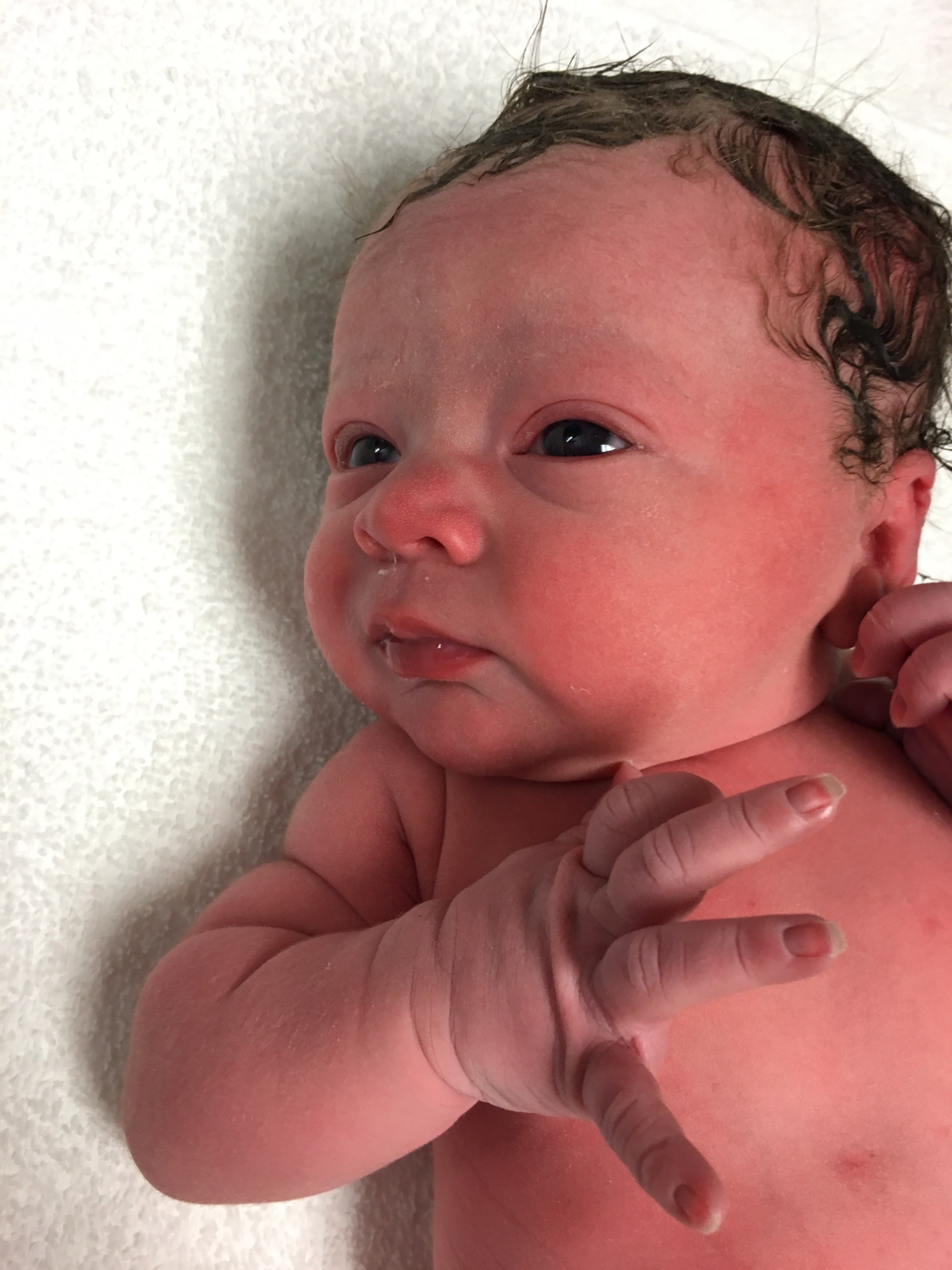 This Mommy's Heart - PPCM Blog - Welcome baby girl